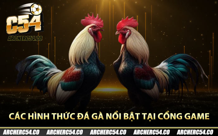 Các hình thức đá gà nổi bật tại cổng game