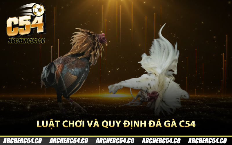 Luật chơi và quy định đá gà C54