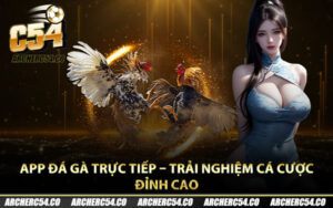 App Đá Gà Trực Tiếp – Trải Nghiệm Cá Cược Đỉnh Cao