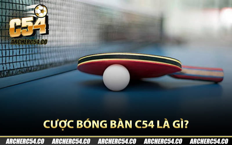 Cược bóng bàn C54 là gì?