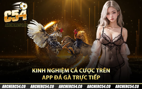 Kinh nghiệm cá cược trên app đá gà trực tiếp