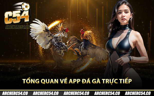 Tổng quan về app đá gà trực tiếp