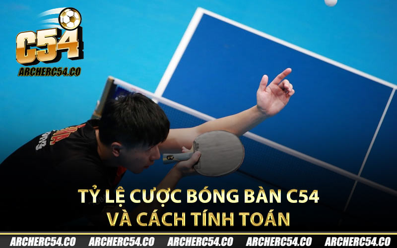 Tỷ lệ cược bóng bàn C54 và cách tính toán